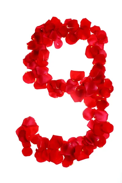 Very romantic number rose petals — Stock Photo, Image