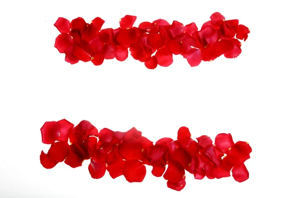 Pétalas vermelhas de rosa formando símbolos — Fotografia de Stock