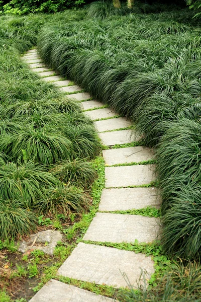 stock image A stone walkway