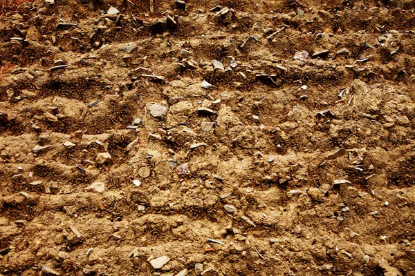 Soil texture background. — Stock Photo, Image