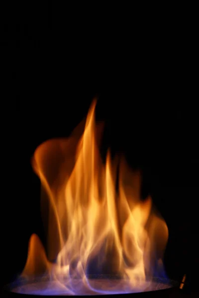 stock image Burning fire