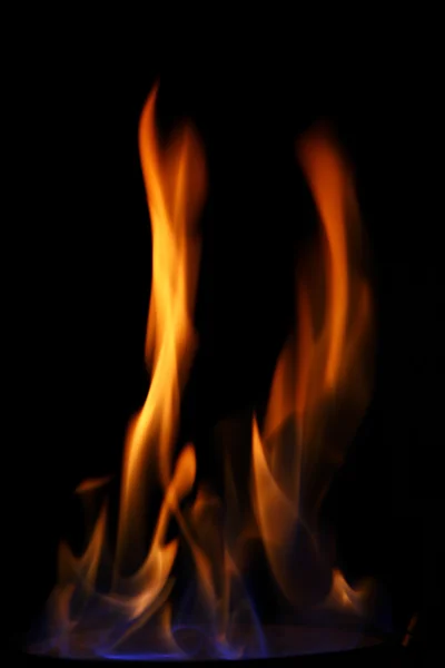 stock image Burning fire