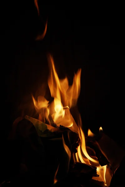 Палаючий вогонь — стокове фото
