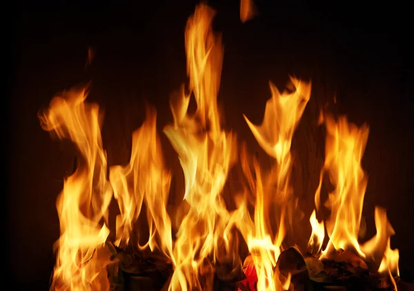 Burning fire — Stock Photo, Image