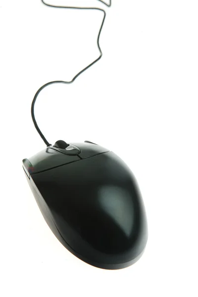 Een zwarte muis — Stockfoto