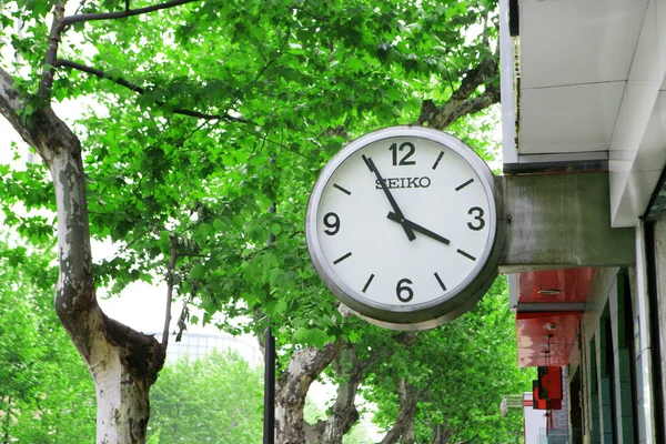 Relógio com árvores verdes no fundo — Fotografia de Stock