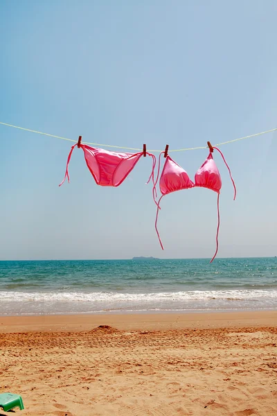 Reggiseno rosa e panty — Foto Stock