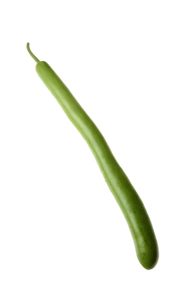 Um único abóbora vegetal — Fotografia de Stock