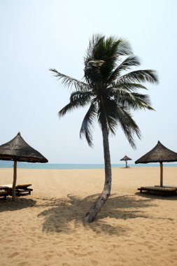 Tente ve sandalye üzerinde plaj, sanya, Çin