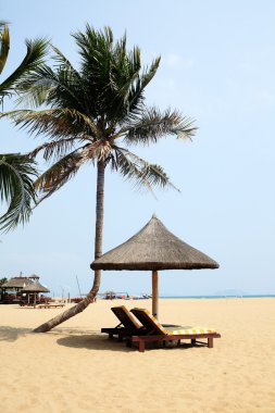 Tente ve sandalye üzerinde plaj, sanya, Çin