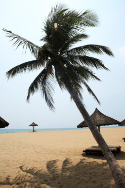 Tente ve sandalye üzerinde plaj, sanya, Çin