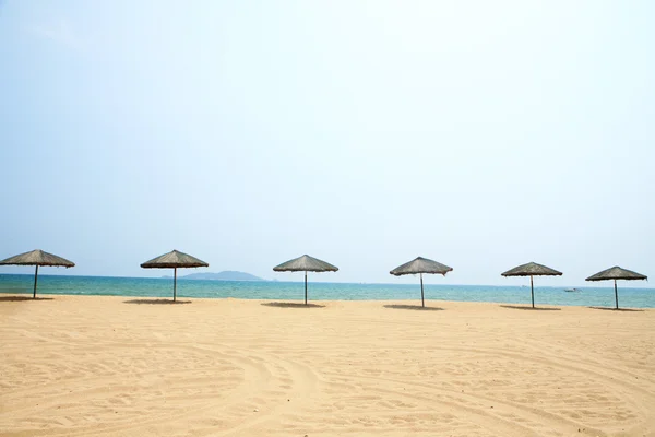 Парасолька від сонця та шезлонги на пляжі, Санья, Сполучені Штати Америки — стокове фото