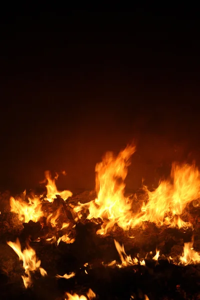 Oheň v kamnech stock fotka — Stock fotografie