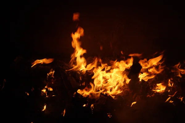 stock image Fire in stove stock photo