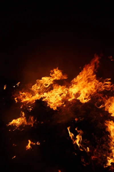 Ogień w piecu pień fotografia — Zdjęcie stockowe