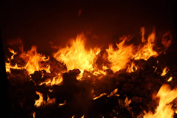 Feuer in Herd Archivbild — Stockfoto