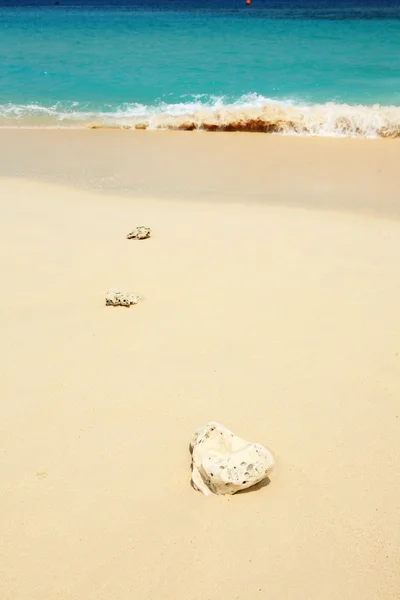 Ola en la playa — Foto de Stock