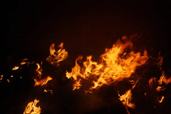 stock image Fire in stove stock photo