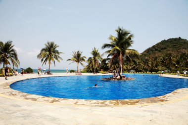 Swimming pool in china hotel with palm trees. china,Sanya clipart