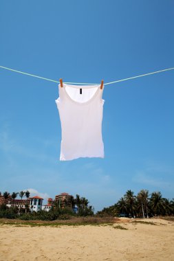 clothesline üzerinde kurutma t-shirt
