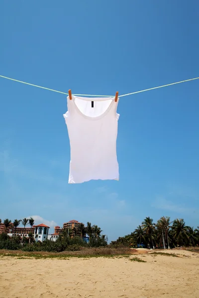 Koszulka suszenia na bielizny — Zdjęcie stockowe