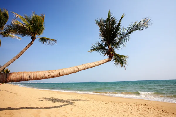 Sanya, Çin Denizi'nde yanında palmiye — Stok fotoğraf