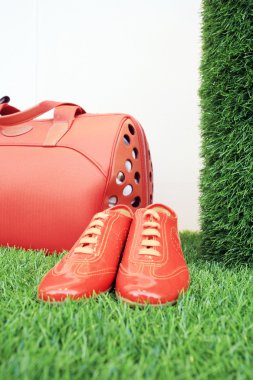 Kırmızı Bagaj ve ayakkabılar