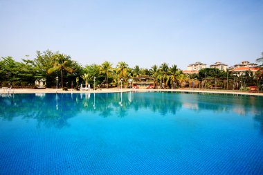 Swimming pool in china hotel with palm trees. china,Sanya clipart