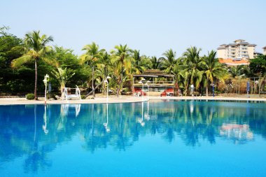 Swimming pool in china hotel with palm trees. china,Sanya clipart