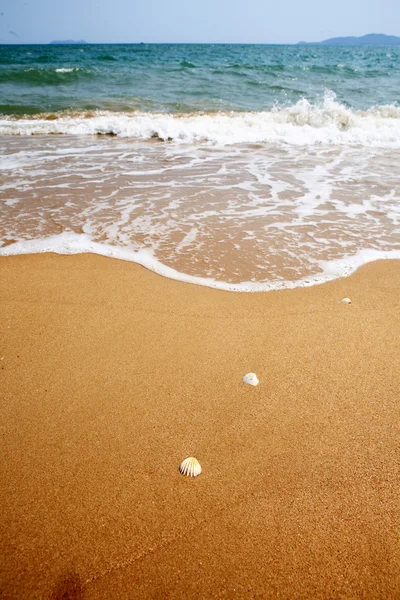 Ola en la playa —  Fotos de Stock