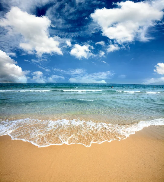 Великолепный пляж летом — стоковое фото