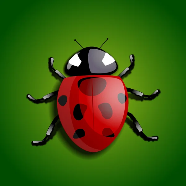 stock vector Ladybug