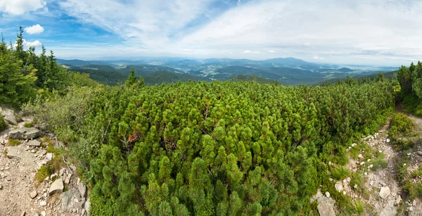 Grüne Bergpanorama — Stockfoto