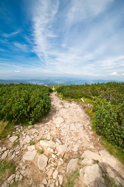 stock image Mountain trail landscape