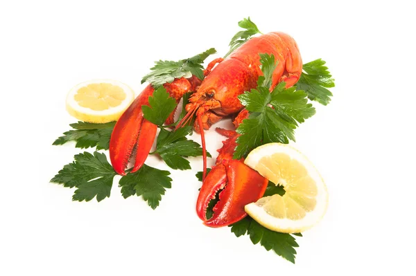 Red lobster with lemon and parsley — Stock Photo, Image