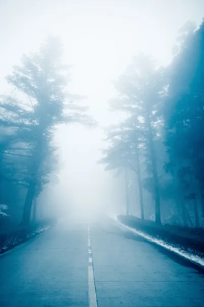 Carretera en la niebla — Foto de Stock