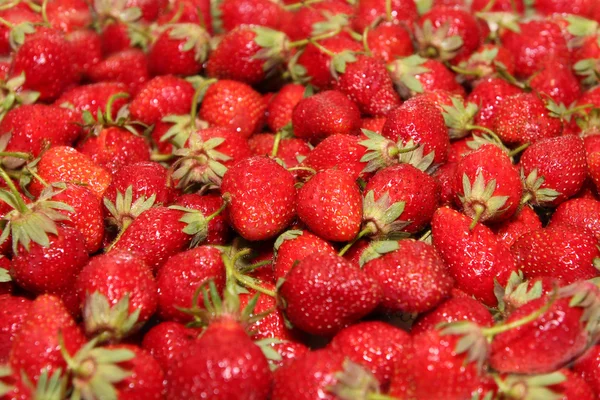 stock image Strawberries