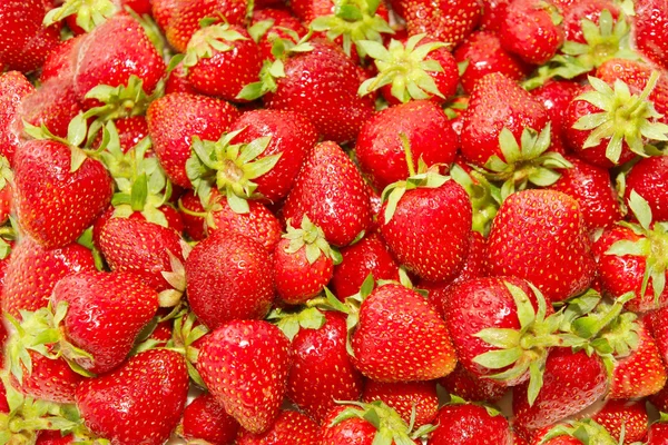 stock image Strawberries