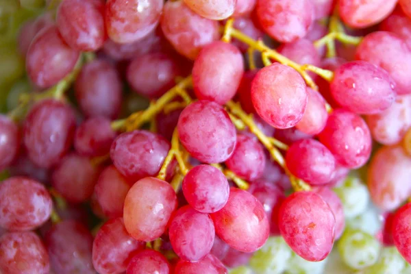 Ripe grape — Stock Photo, Image