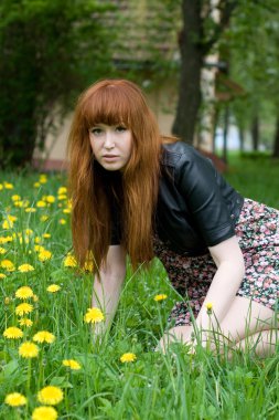 dandelions sahasında oturan kız