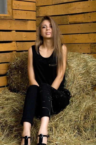 Chica sentada en el heno — Foto de Stock
