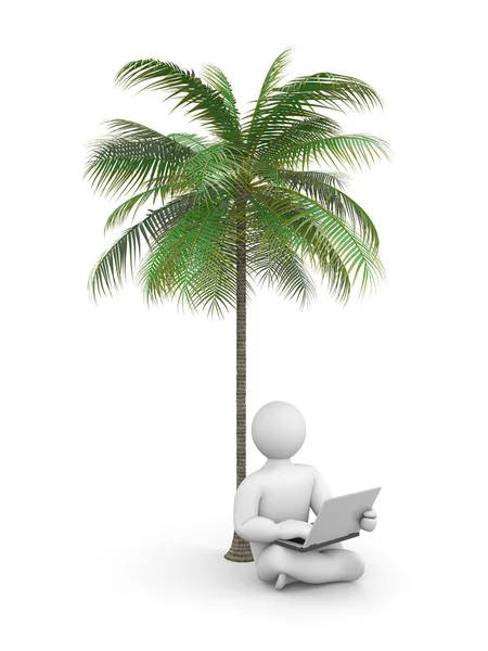 Человек работает или отдыхает на ноутбуке под пальмой — стоковое фото