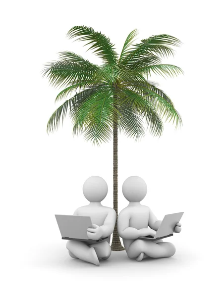 Person working or relax on laptop under a palm tree — Stock Photo, Image