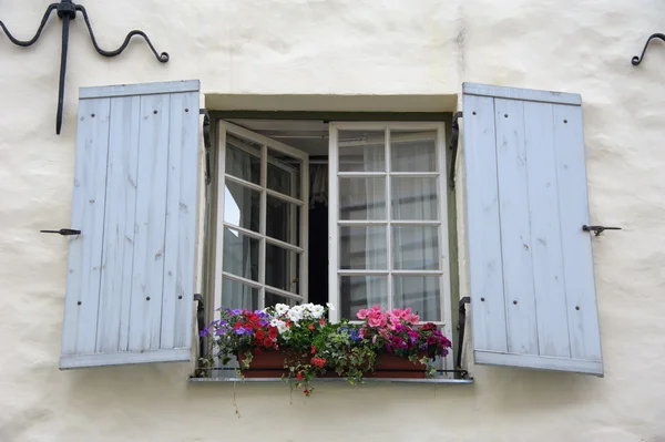 Windows med blommor — Stockfoto