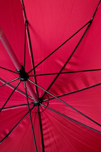 stock image Skeleton of an umbrella