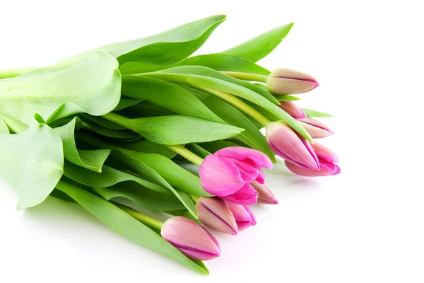 Bouquet av rosa, nederlandske tulipaner – stockfoto