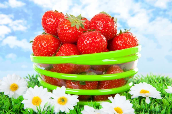 Bol aux fraises fraîches sur herbe — Photo