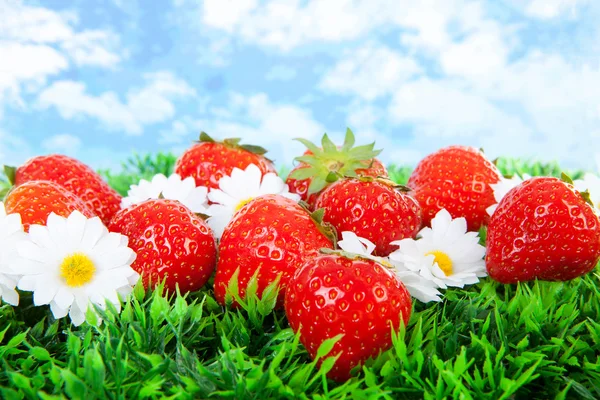 Fresh strawberries on grass — Stock Photo, Image
