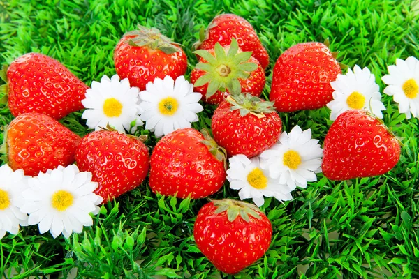 Fresh strawberries on grass and flowers — Stock Photo, Image