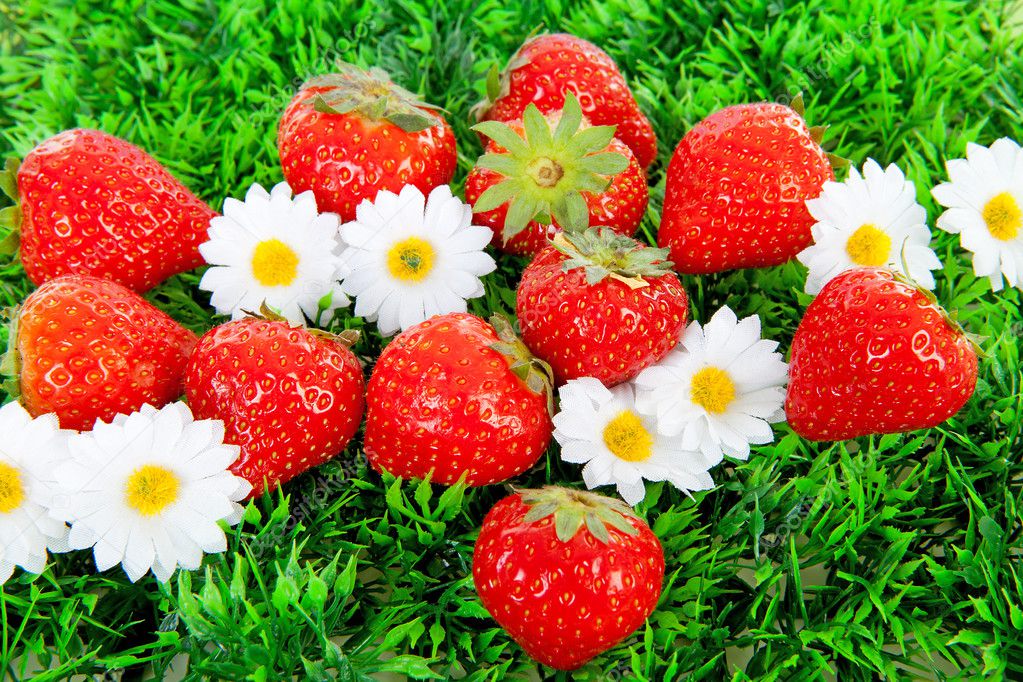 Fresh strawberries on grass and flowers